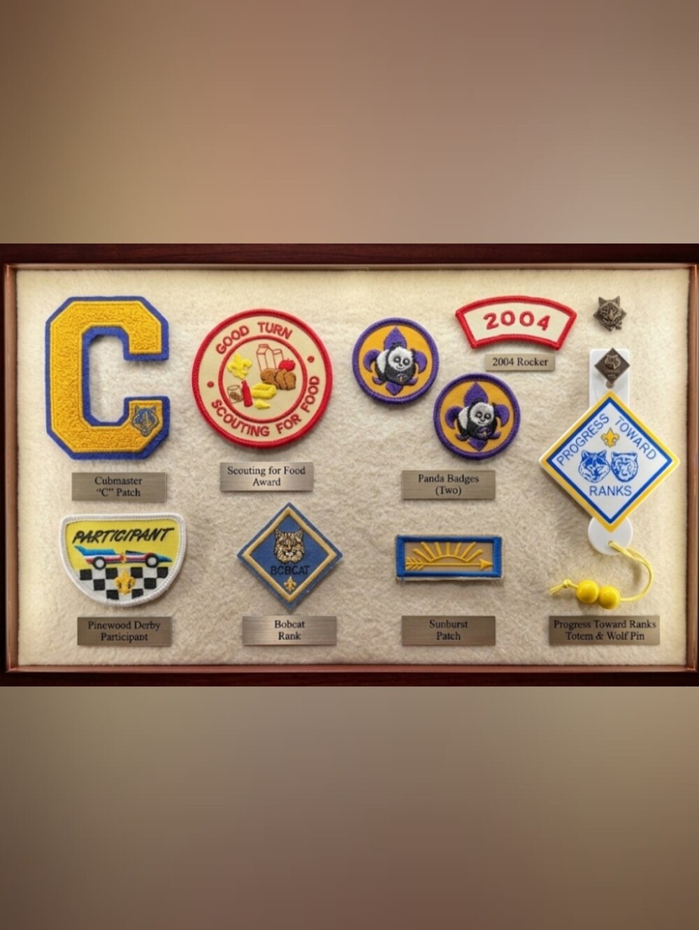 Cub Scout BSA Insignia Patch Lot Pinewood Derby Bobcat Wolf Pin Totem Arrow C 10
